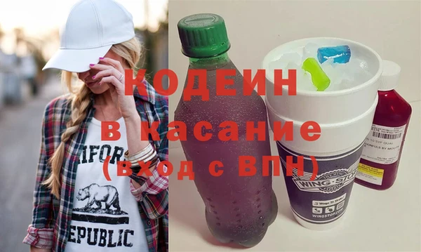 гашик Вяземский